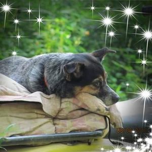 Meet your Posher, Dan